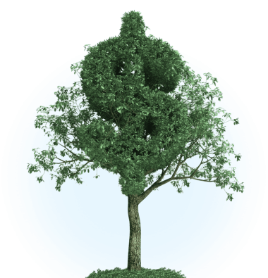 В чем польза и преимущества использования телефона для оплаты карточкой Belveb?