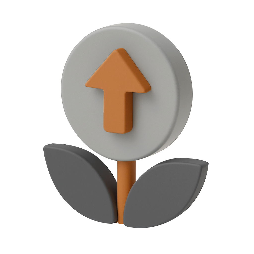 Финансирование